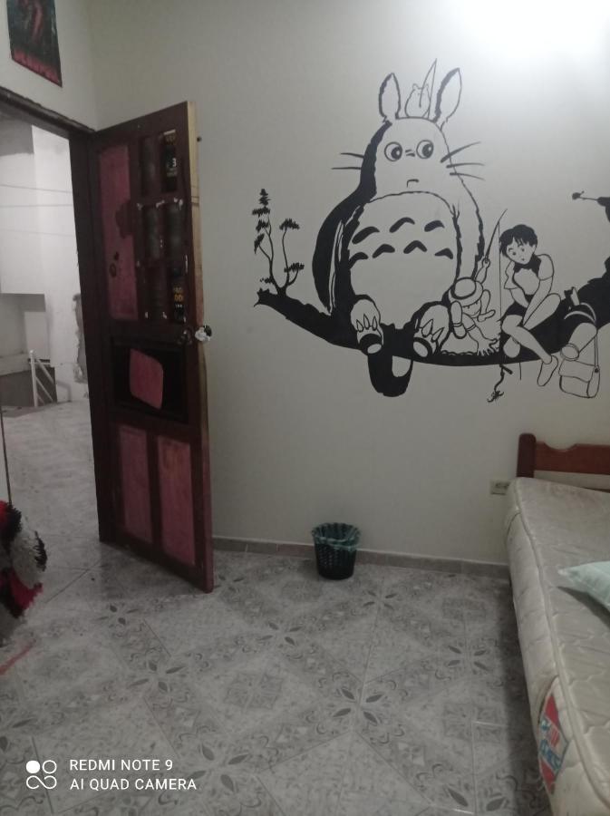לטיסייה Casa De Los Cruz מראה חיצוני תמונה